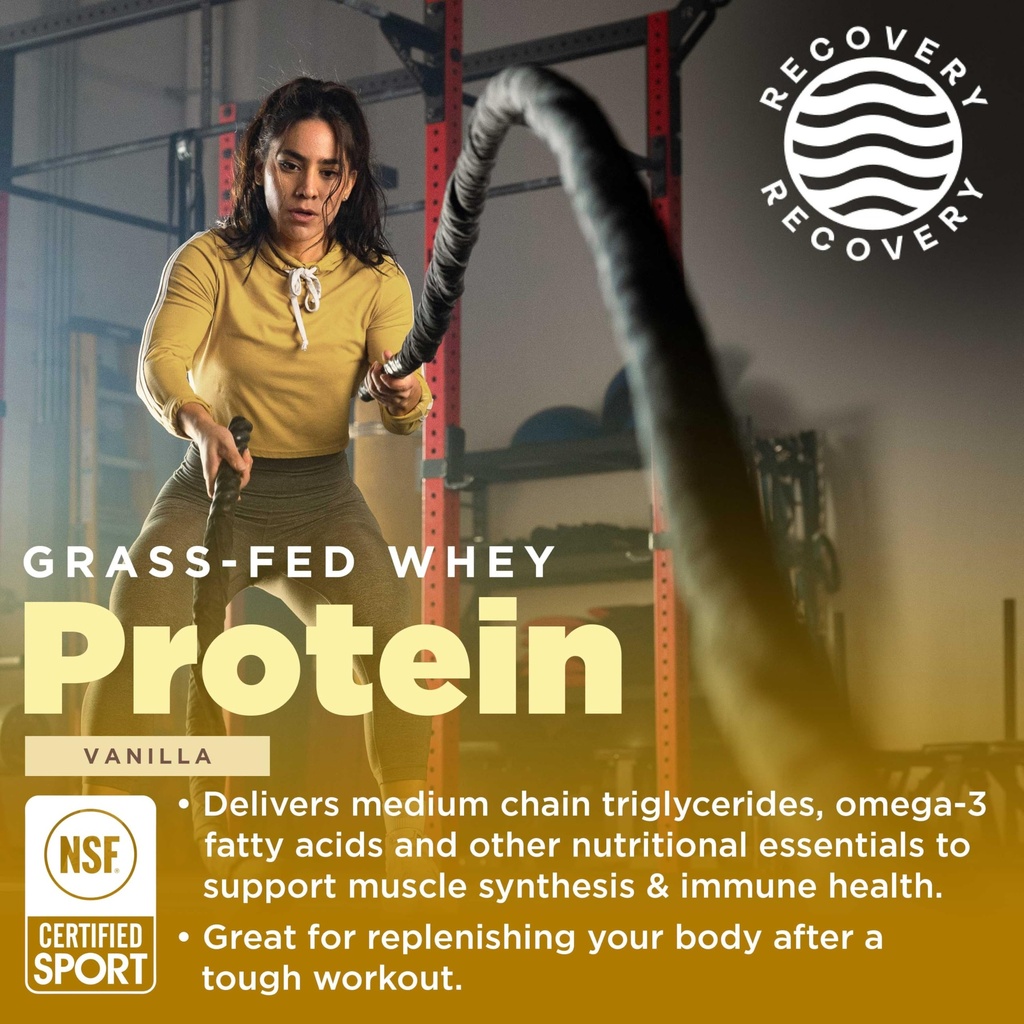 gnarly-nutrition-performance-greens-blue-6.jpg