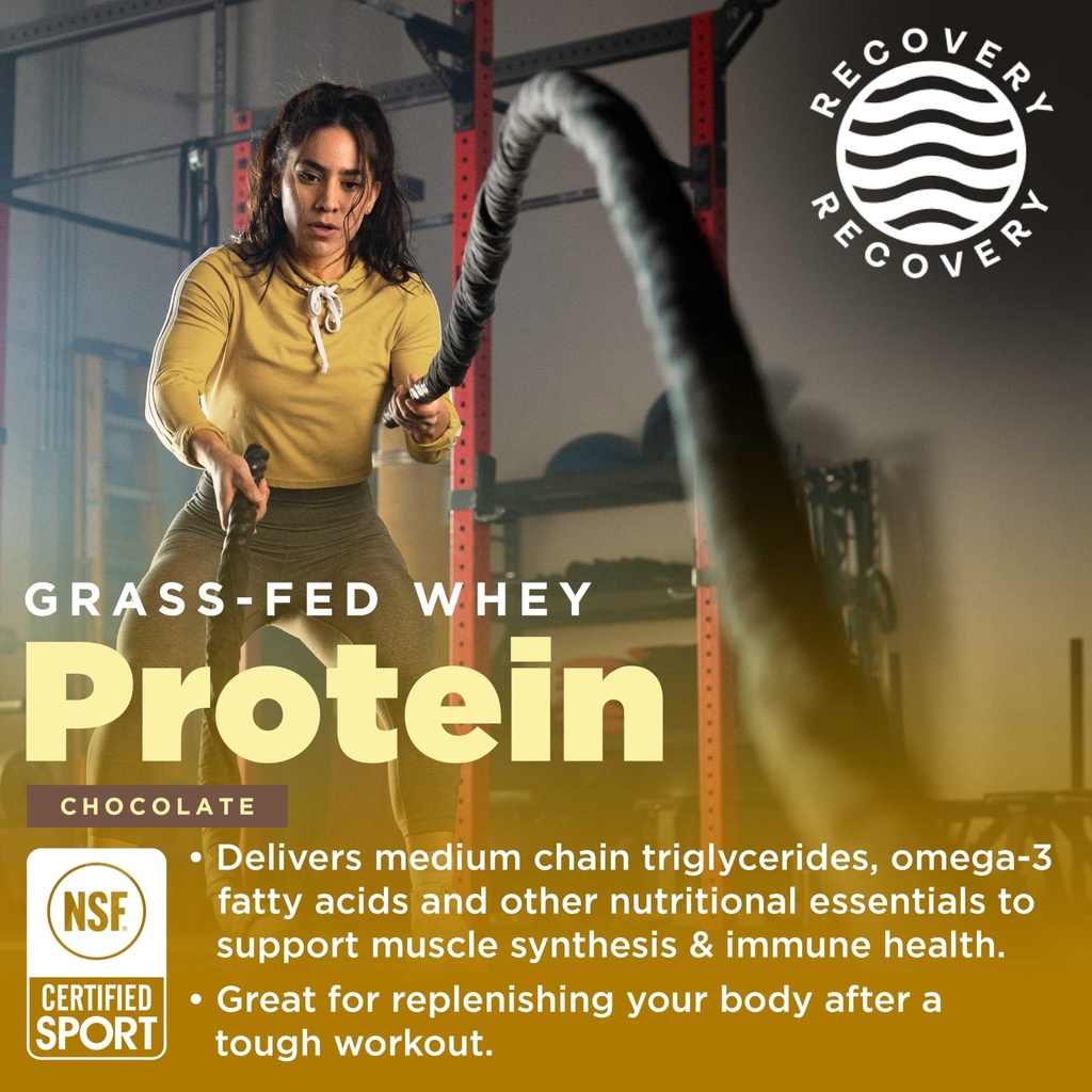 gnarly-nutrition-performance-greens-blue-2.jpg