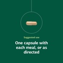 standard-process-orchex-nervous-system-c-5.jpg