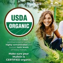 zazzee-usda-organic-mullein-leaf-10-1-ex-2.jpg