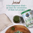 garden-of-life-raw-organic-perfect-food--5.jpg