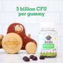 garden-of-life-kids-probiotic-3-billion--4.jpg