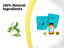dr-wakde-s-bhumi-amla-powder-phyllanthus-6.jpg