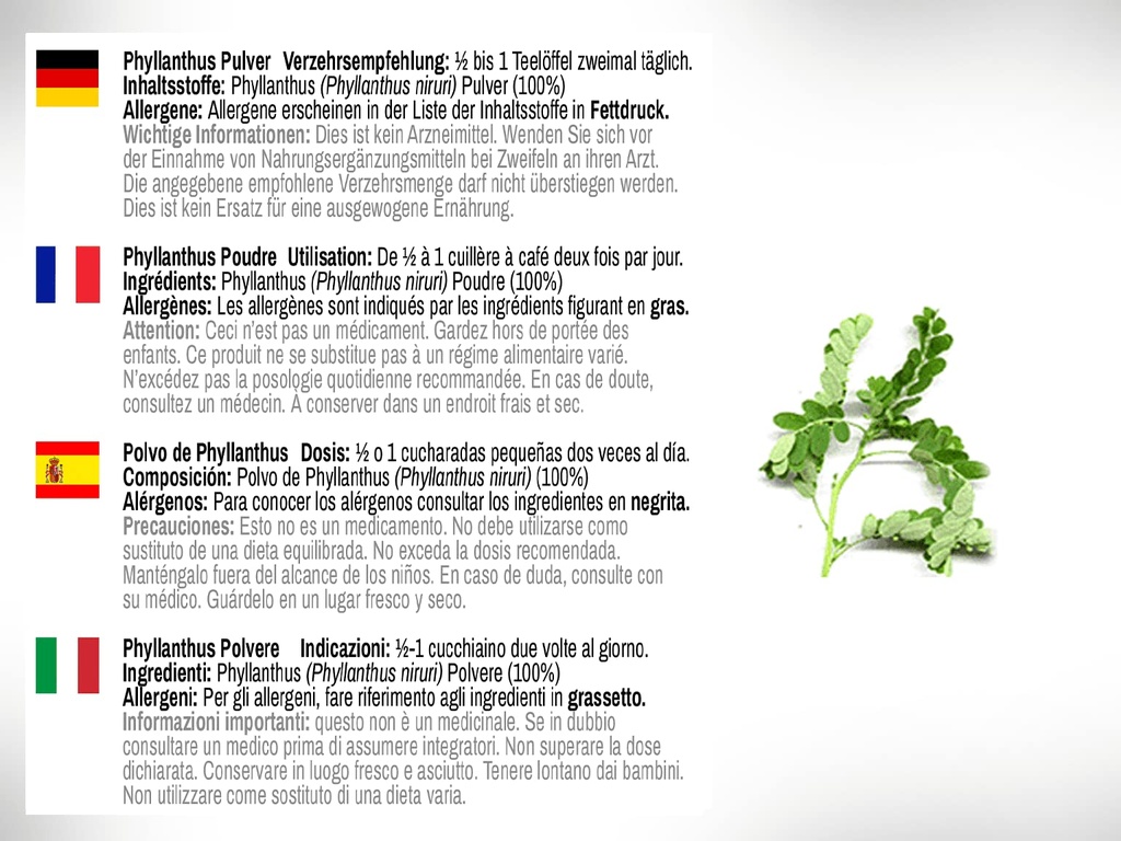 dr-wakde-s-bhumi-amla-powder-phyllanthus-5.jpg