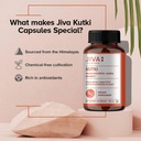 jiva-ayurveda-kutki-capsules-traditional-4.jpg