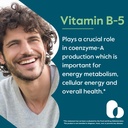 bestvite-pantothenic-acid-500mg-vitamin--4.jpg