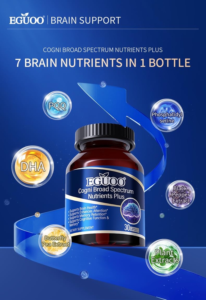 brain-support-dietary-supplement-with-ph-2.jpg