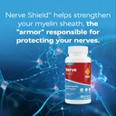 redd-remedies-nerve-shield-supports-heal-6.jpg