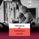 bundle-of-forskolin-weight-loss-suppleme-6.jpg