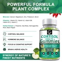 sugar-free-cortisol-gummies-9-in-1-corti-3.jpg