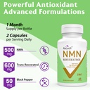 99-ultra-purity-nmn-500mg-trans-resverat-5.jpg