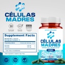 stem-cell-supplements-500mg-60-cap-natur-6.jpg