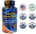 stem-cell-release-factor-aging-and-stem--4.jpg