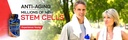 stem-cell-release-factor-aging-and-stem--6.jpg