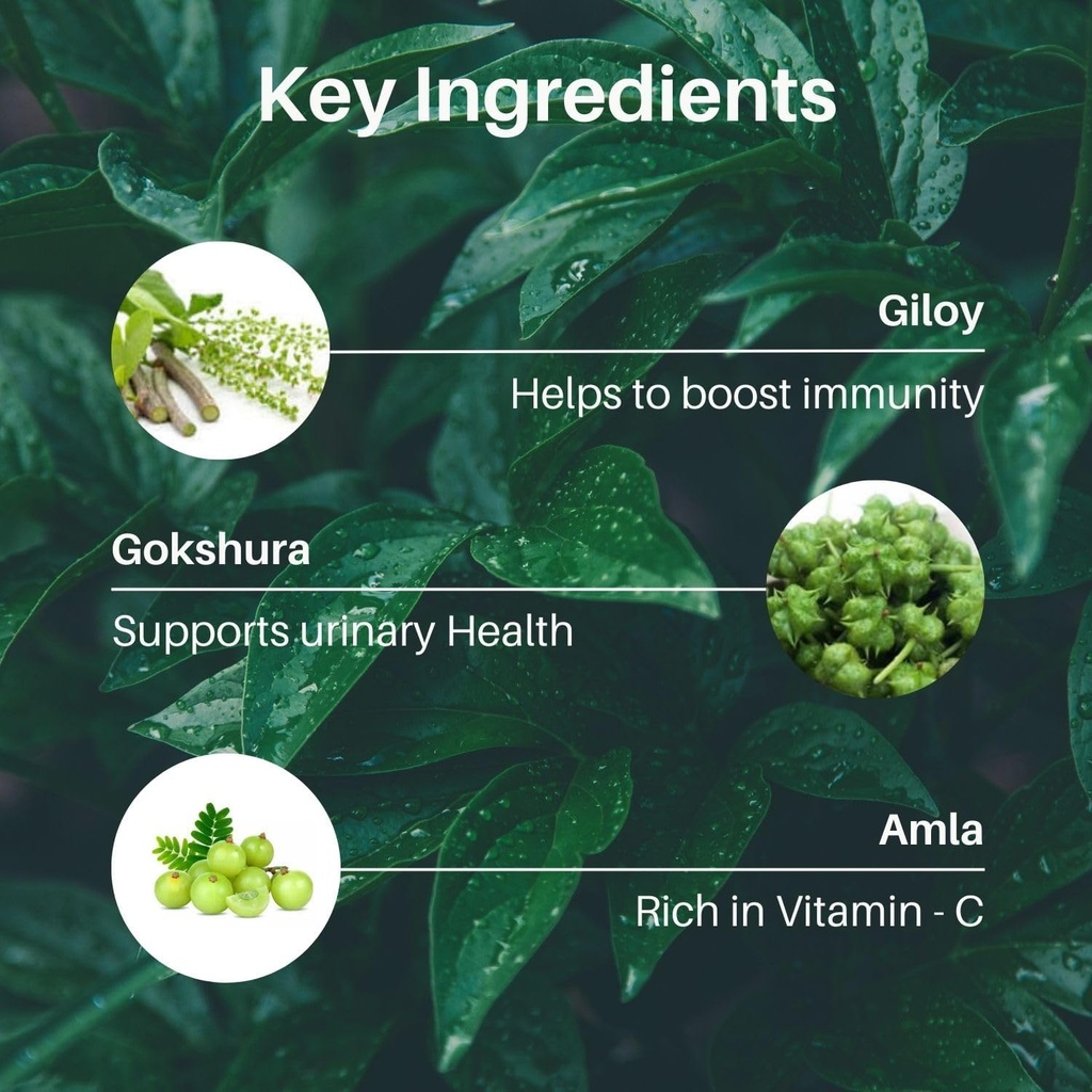 rasayan-powder-amrutadi-churna-ayurvedic-2.jpg