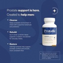 prostate-supplements-for-men-supports-ur-3.jpg