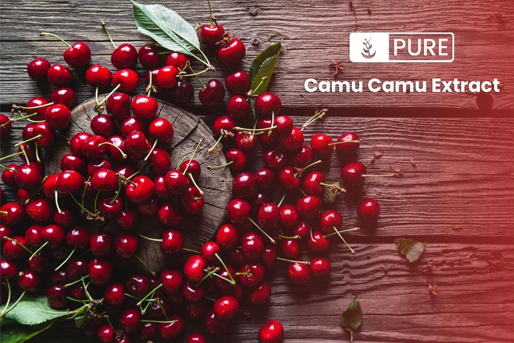pure-original-ingredients-camu-camu-1lb--4.jpg