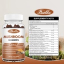 organic-mushroom-gummies-10-blend---mush-3.jpg