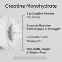 sports-research-gym-pro-pack-creatine-mo-4.jpg