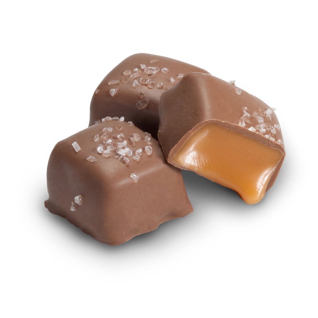vegan-gluten-free-nut-free-gourmet-choco-5.jpg