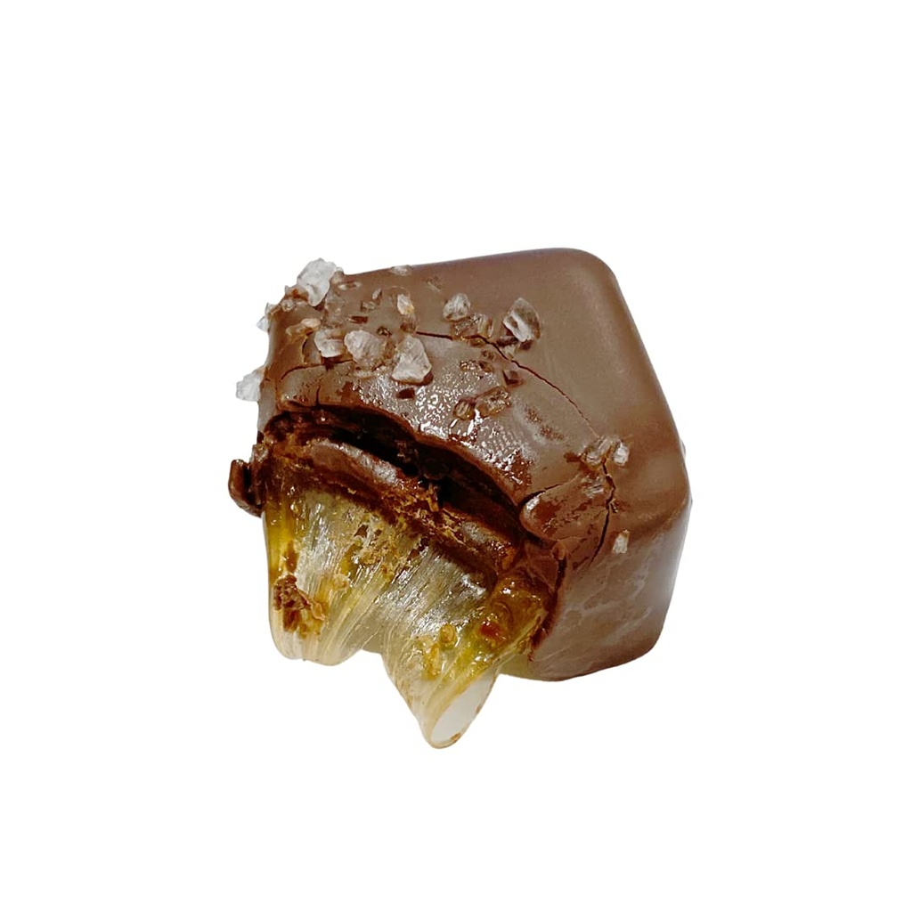 vegan-gluten-free-nut-free-gourmet-choco-6.jpg