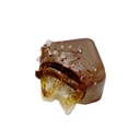 vegan-gluten-free-nut-free-gourmet-choco-6.jpg