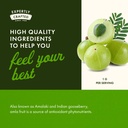 swanson-full-spectrum-amla-fruit-indian--5.jpg