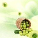 amla-superfruit-with-aged-garlic-extract-2.jpg