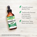 botanic-choice-lemon-balm-rosemary-leaf--6.jpg