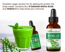herbal-goodness-moringa-extract-liquid-d-5.jpg