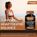 wellness-labsrx-mushroom-supplement-caps-6.jpg