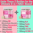 shizam-nicotinamide-riboside-nr-nam-resv-5.jpg