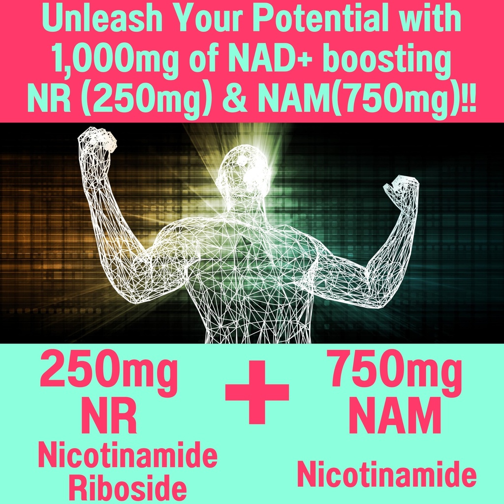 shizam-nicotinamide-riboside-nr-nam-resv-3.jpg