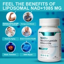 nad-supplement-500-mg-nicotinamide-nucle-5.jpg