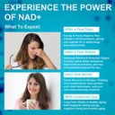 nad-supplement-500-mg-nicotinamide-nucle-6.jpg