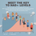 niusise-nad-gummies-sugar-free-nad-suppl-5.jpg