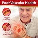 labo-nutrition-vesseclear-ex-neuroregain-4.jpg