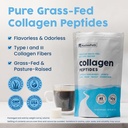 nativepath-collagen-45-and-organic-mct-o-3.jpg