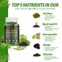 16-in-1-sea-moss-gummies-us-made-3x-pote-3.jpg