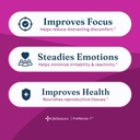 lifeseasons-premense-t-pms-support-60-ct-2.jpg