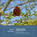eclectic-herb-organic-larix-powder-natur-3.jpg