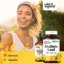 wild-organic-mullein-capsules-mullein-le-6.jpg