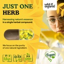wild-organic-mullein-capsules-mullein-le-5.jpg