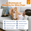 zesty-paws-dog-multivitamin-chewable-dog-2.jpg