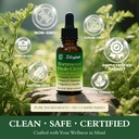 wormwood-extract-liquid-drops-herbal-dig-5.jpg