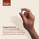 andrew-lessman-cinnamon-400mg---240-caps-6.jpg