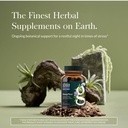 gaia-herbs-sleepthru-sleep-support-suppl-2.jpg