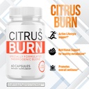 5-pack-citrus-burn-capsules-official-cit-4.jpg