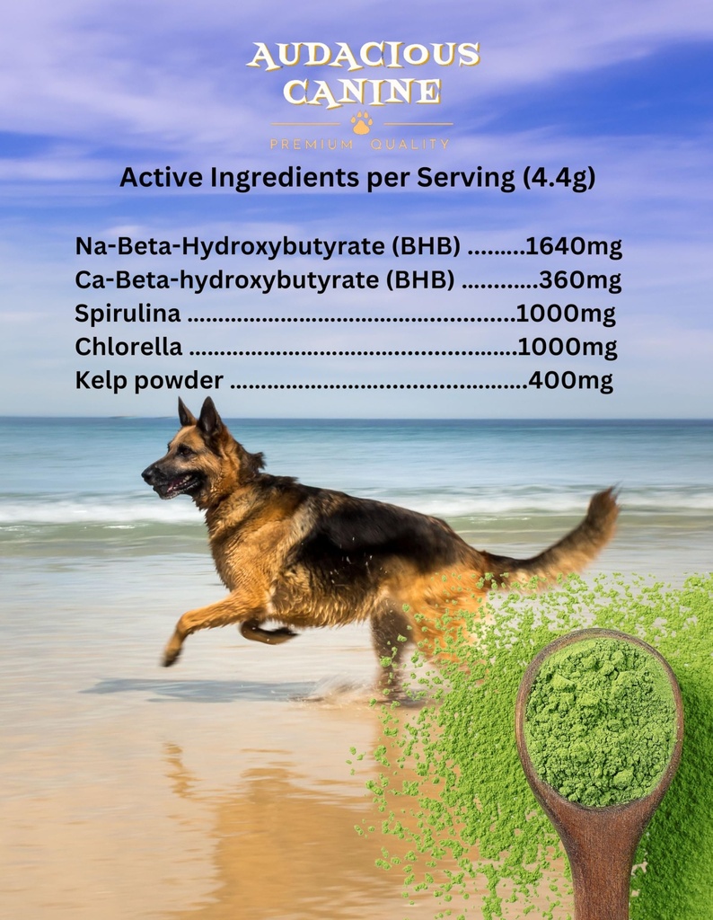 audacious-canine-ketone-superfood-powder-3.jpg