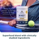 ancient-nutrition-grass-fed-whey-fat-los-4.jpg